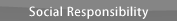 Social Responsibility