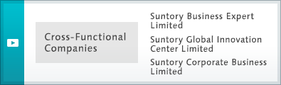 Cross-functional Companies