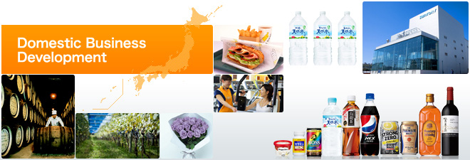 Domestic Business Development