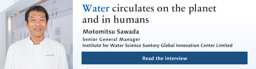 Water circulates on the planet and in humans