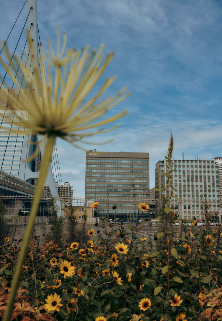 Exterior photo of the Suntory World Headquarters seen through a patch of flowers