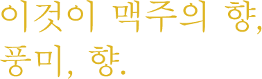 이것이 맥주의 향, 풍미, 향.