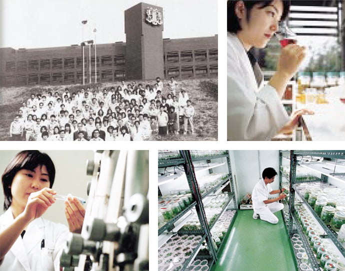 Photo of Suntory’s history