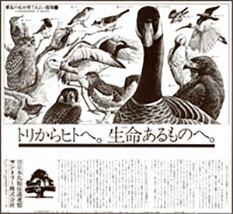 1st Save the Birds! Campaign newspaper ad