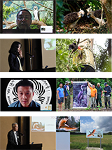 Presentations on conservation activities from Japanese and international (online participation) grantees