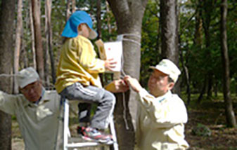 Hanging boxes in the Bird Sanctuary