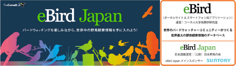 The portal site "eBird Japan" (operated by Cornell University Lab of Ornithology and the Wild Bird Society of Japan)