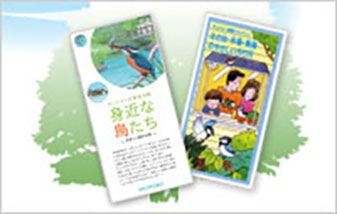 Save the Birds Activity leaflets