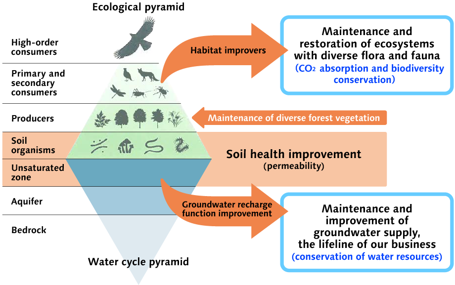 Ecological pyramid & Water cycle pyramid