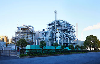 Biomass boiler (Chita Distillery)