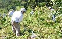 Forestry Maintenance Training for Employees