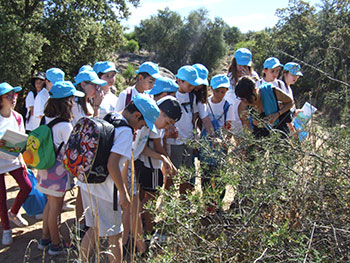 Suntory Mizuiku - Education Program for Nature and Water in Spain