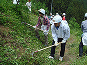 Employees cutting undergrowth at a Natural Water Sanctuary