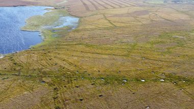 Peatland