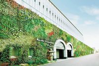 A Hana no Kabe (literally “Flower Wall”) that is among the largest in Japan (Kyoto)