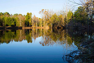 Upstream region of the Neuse River