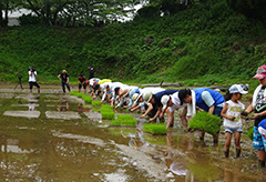 Planting Event