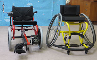 Challenged sports training support