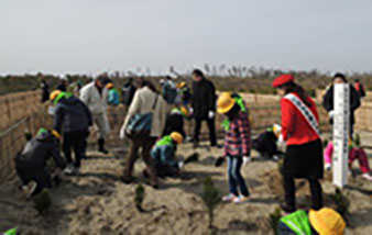 Tree planting