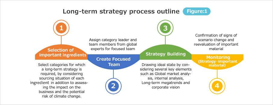 Long-term strategy process outline