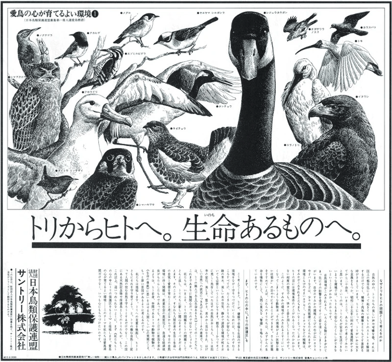 Newspaper ad for the bird conservation campaign that ran in 1973. “The issue advocacy ads that ran in newspapers for more than 10 years garnered an incredible response. I’ve met people involved in our conservation activities today who say that they were inspired to get engaged after seeing those ads as a child,” comments Takai.