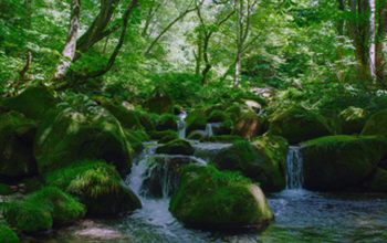 Suntory Natural Water Sanctuary Initiative Using Science-based Approaches