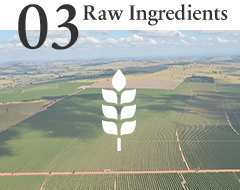 03 Raw Ingredients