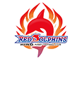 Hino Red Dolphins