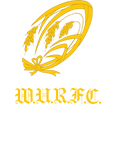 WASEDA University