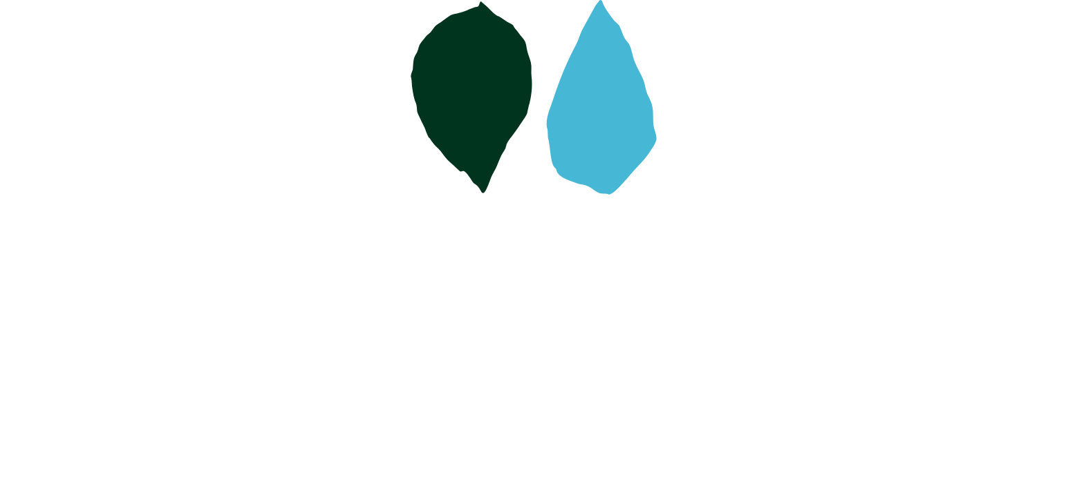 サントリー 白州の森 | SUNTORY Hakushu Sanctuary