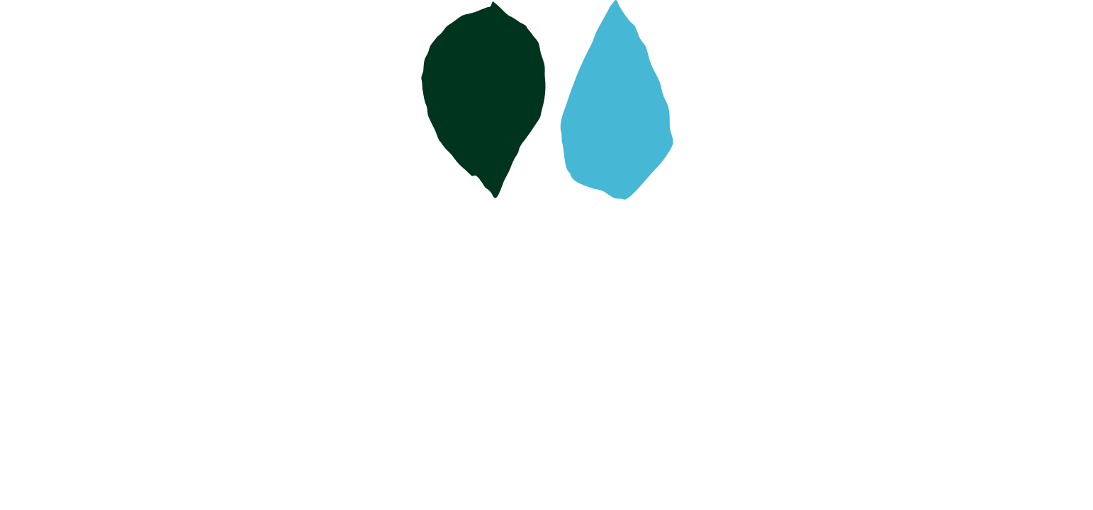 サントリー 白州の森 ｜ SUNTORY Hakushu Sanctuary