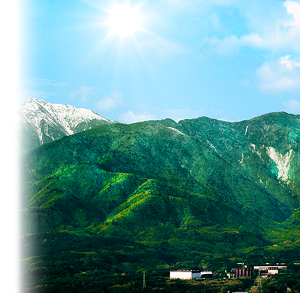 The four seasons at Hakushu(Spring)