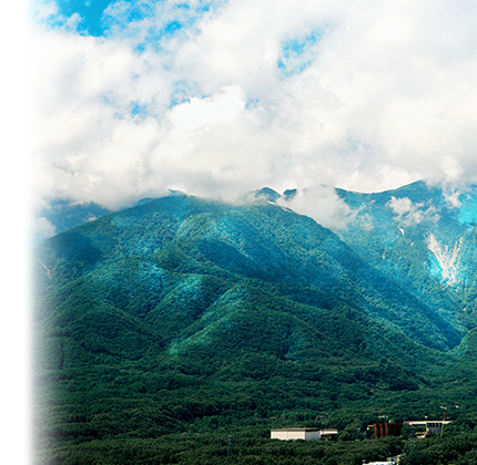 The four seasons at Hakushu(Summer)