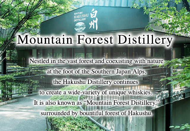 “Mountain Forest Distillery”