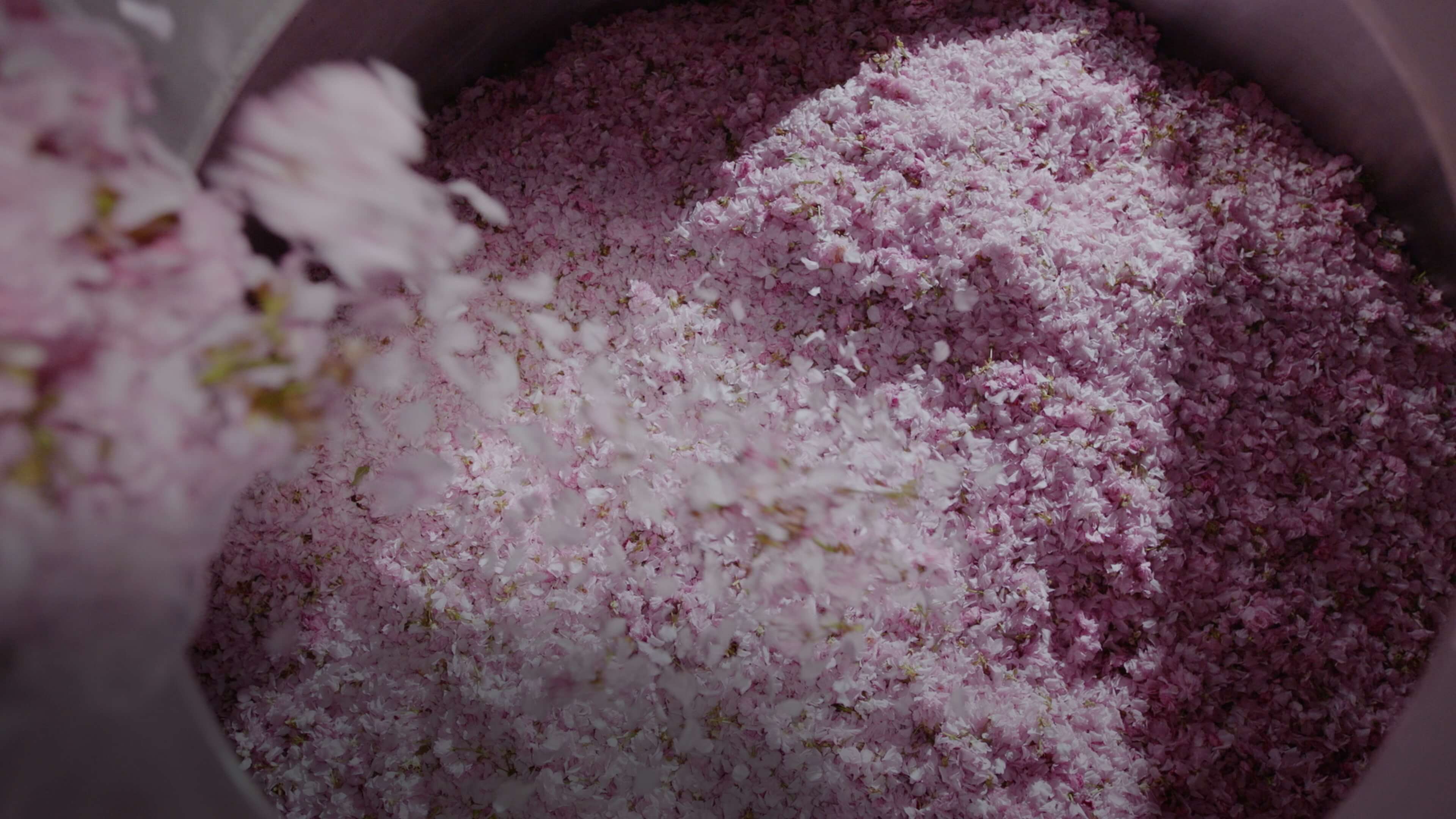 MACERATION