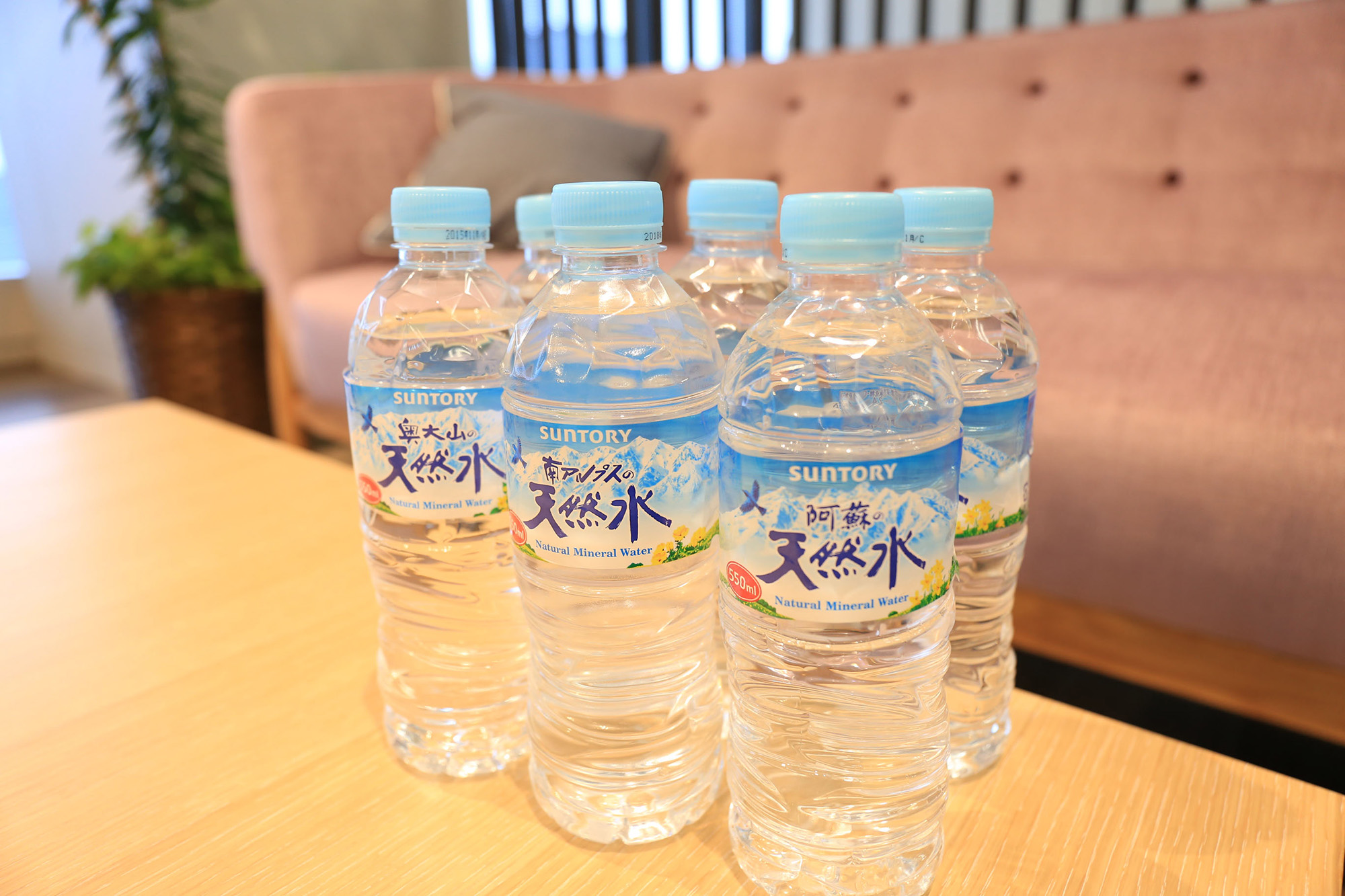 Japanese Water Bottle 