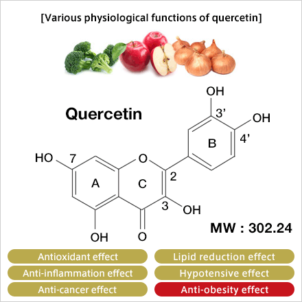 Various physiological functions of quercetin