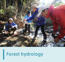 Forest hydrology