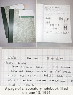 A page of a laboratory notebook filled on June 13, 1991
