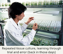 Repeated tissue culture, learning through trial and error (back in those days)