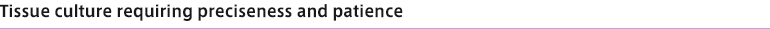 Tissue culture requiring preciseness and patience