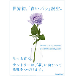 世界初、「青いバラ」誕生。もっと青く。サントリーは、「夢」に向かって挑戦をつづけます。