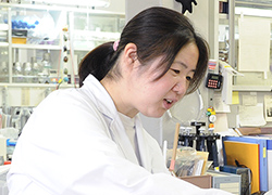 Researcher Noriko Nakamura Ph.D.