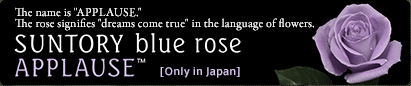 suntory blue rose applause