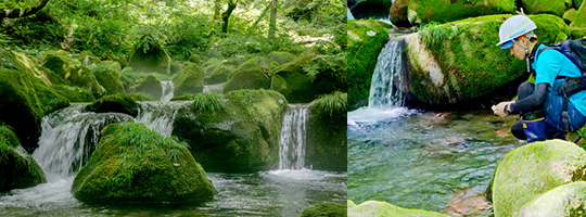 Suntory Natural Water Sanctuaries