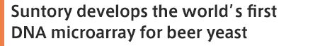 Suntory develops the world’s first DNA microarray for beer yeast