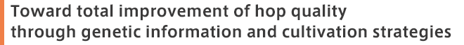 Toward total improvement of hop quality through genetic information and cultivation strategies