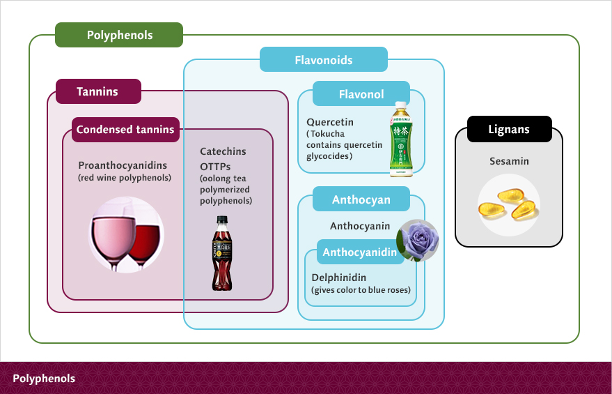 Polyphenols