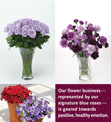 Our flower business—represented by our signature blue roses—is geared towards positive, healthy emotion.