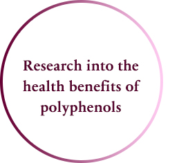 Research into the health benefits of polyphenols